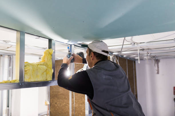 Best Residential Insulation in Belle Plaine, IA