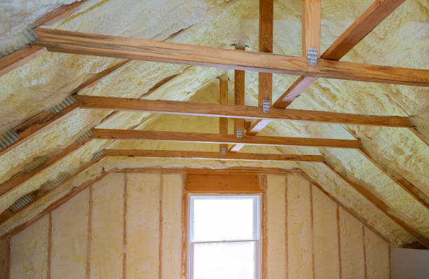 Best Specialized Insulation Services in Belle Plaine, IA