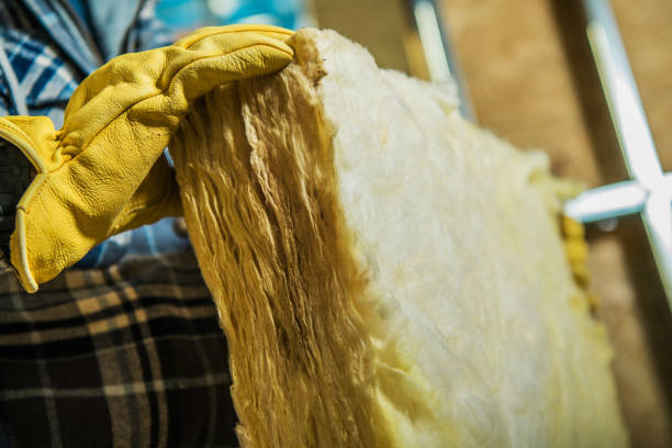 Best Geographic-Specific Insulation Services in Belle Plaine, IA