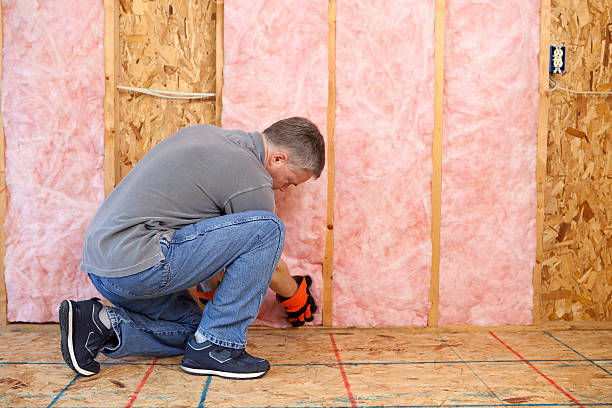 Best Energy Efficiency Insulation in Belle Plaine, IA